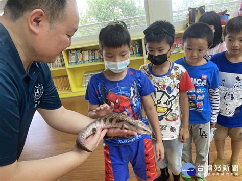 寵物魚種類|探索臺灣合法飼養的特殊寵物：珍稀魚類與迷人冷門寵物全紀錄！。